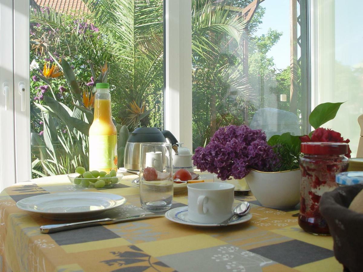 Privatzimmer Mit Aussicht 피르나 외부 사진